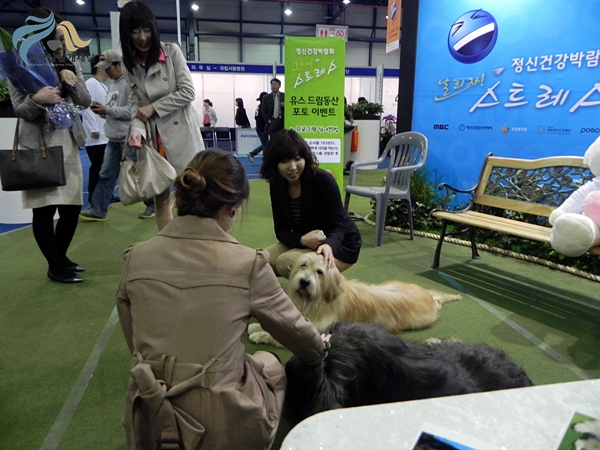 1679372500_Uuo5H2SK_DSCN2115.JPG