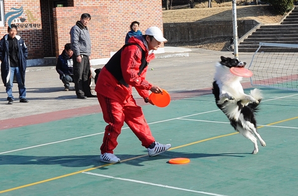 1679372500_W9OiPhIF_11.JPG