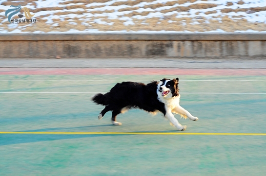 1679372500_WDTYOIqi_ot326.JPG