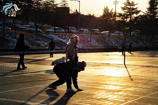 1679372500_WJ6SaAzF_ot234.JPG