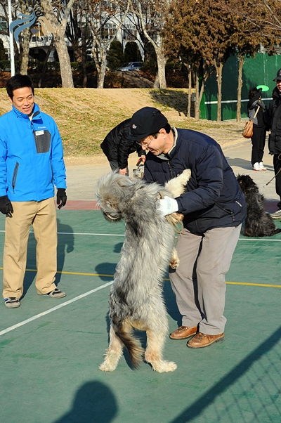 1679372500_YCefWAhF_DSC_0414.JPG