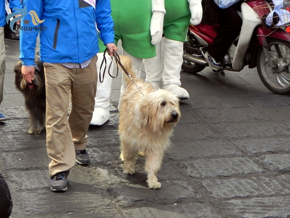 1679372500_YL7RU9FT_DSCN0864.JPG