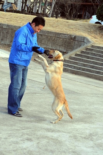 1679372500_YRTZFoNf_C5A9B1E2BAAFC8AF_DSC_0289.JPG