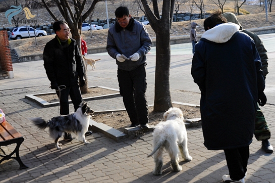 1679372500_YiqzlsHo_C5A9B1E2BAAFC8AF_DSC_0323.JPG