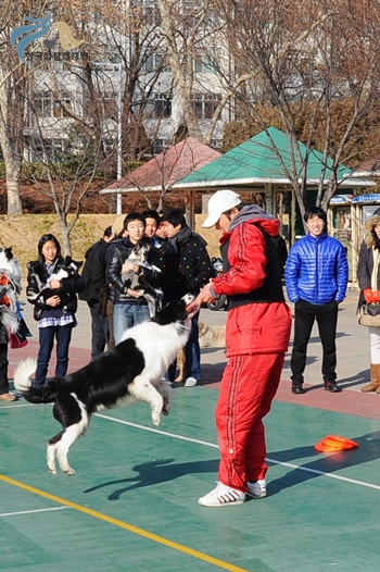 1679372500_YxTsgcvN_24.JPG