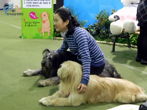 1679372500_ZdHC3yjf_DSCN2159.JPG