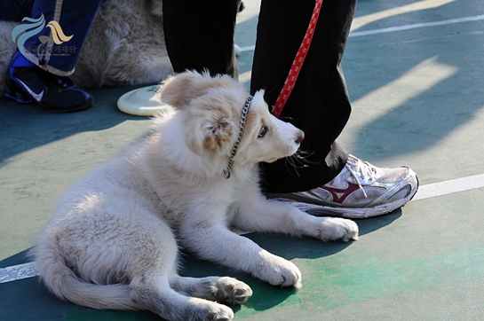 1679372500_aExqwuOe_DSC_0399.JPG