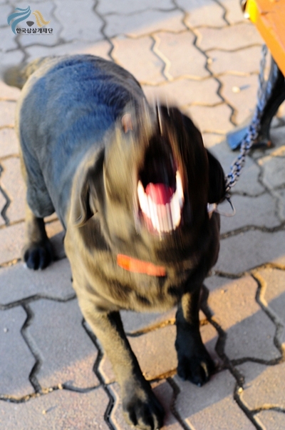 1679372500_atsTUbyY_ot316.JPG