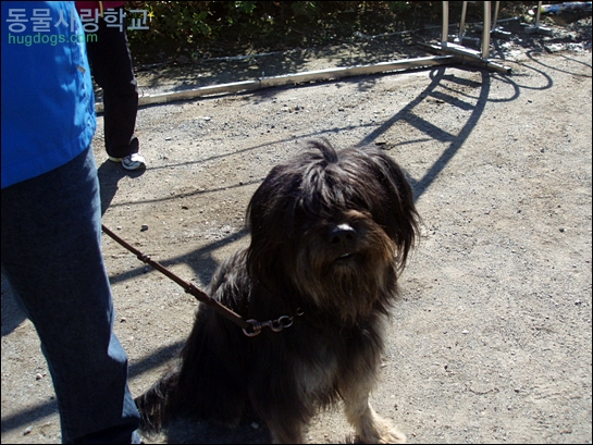 1679372500_b2Pawm7g_PA260162.JPG