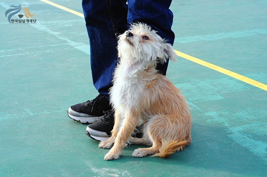 1679372500_cPmnU8xt_academy_3070.JPG