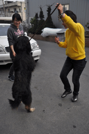 1679372500_dQIJMHlk_shin-bd-show.gif