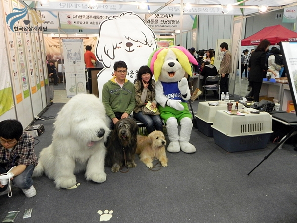 1679372500_e2K78vTz_DSCN2354.JPG
