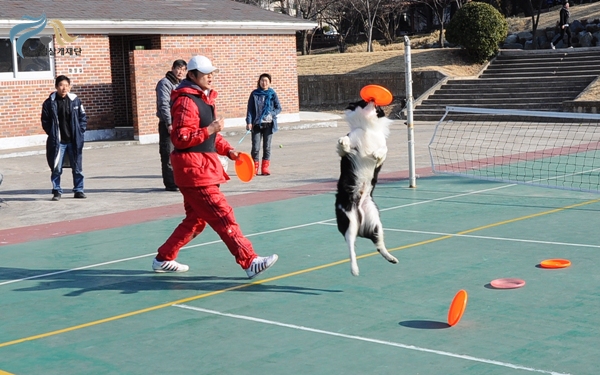 1679372500_eL5m1QfW_18.JPG