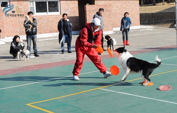 1679372500_epa7N9KB_12.JPG