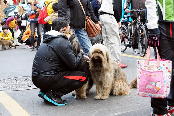 1679372500_gG2lYX10_DSC_0279.JPG