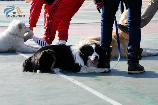 1679372500_gNmfktHS_DSC_0443.JPG