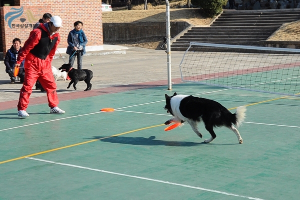 1679372500_k7NDf4hU_8.JPG