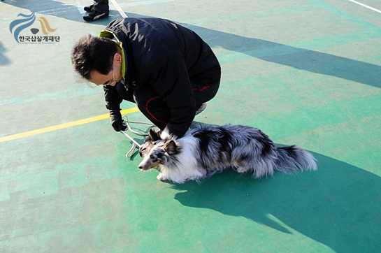 1679372500_k9BFj0ut_DSC_0445.JPG