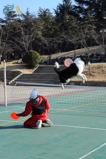 1679372500_k9j3xuCA_5.JPG