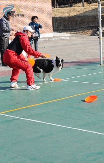 1679372500_msDWE8aA_9.JPG
