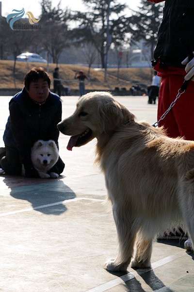 1679372500_mxFg6BPT_DSC_0391.JPG
