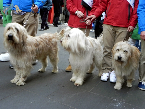 1679372500_nrKd0OCJ_DSCN0979.JPG