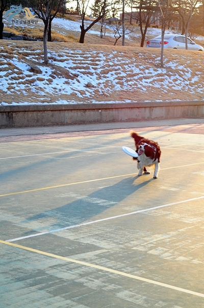 1679372500_oFOMSmQk_ot325.JPG
