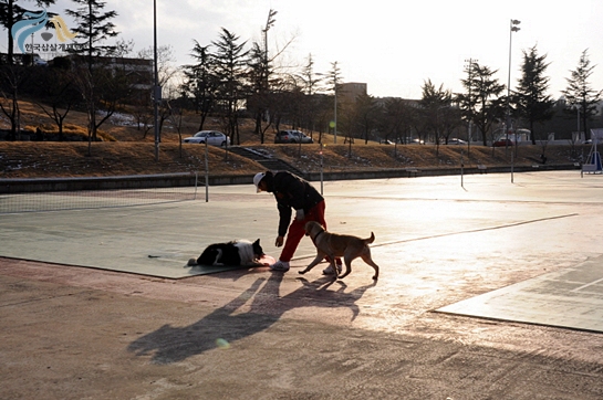 1679372500_pGPawAZi_C5A9B1E2BAAFC8AF_DSC_0345.JPG