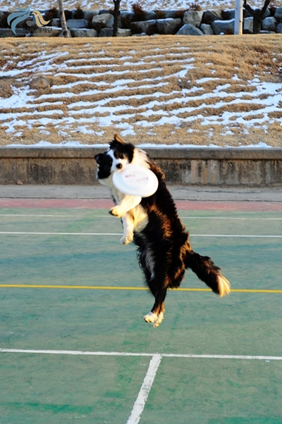 1679372500_q6bMhYaW_ot335.JPG