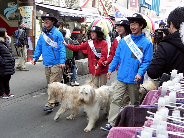 1679372500_q7o01mse_DSCN0977.JPG