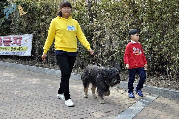 1679372500_s3V0YUvx__DSC0876.JPG