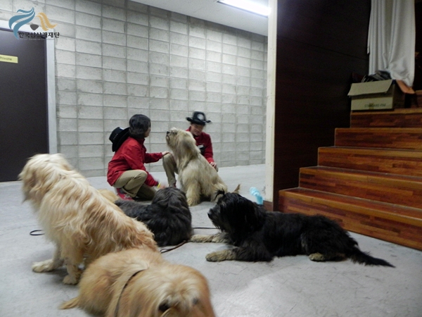 1679372500_sDh5KGHQ_DSCN0601.JPG