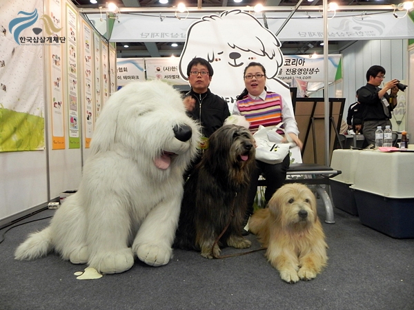 1679372500_uOjv1p7i_DSCN2322.JPG