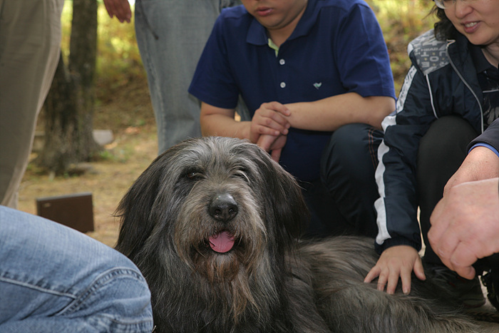 1679372500_ucIfrvLU_IMG_8973.jpg