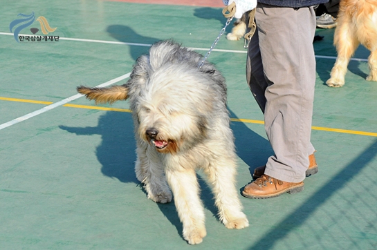 1679372500_v1AlSBXw_DSC_0410.JPG
