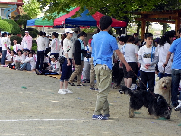1679372500_wqZc0Qsm_DSCN2755.JPG
