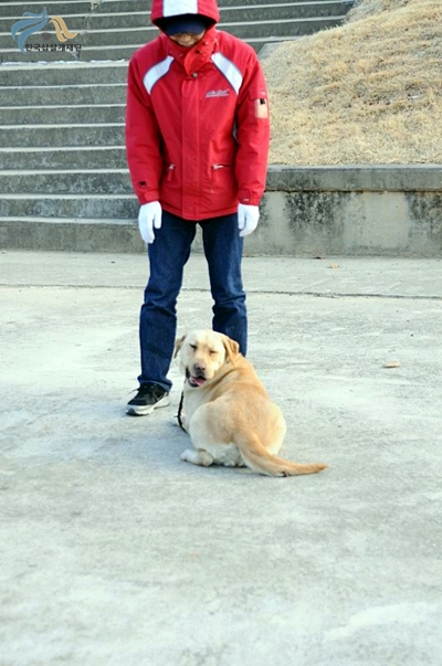 1679372500_xmrOIc7T_C5A9B1E2BAAFC8AF_DSC_0271.JPG