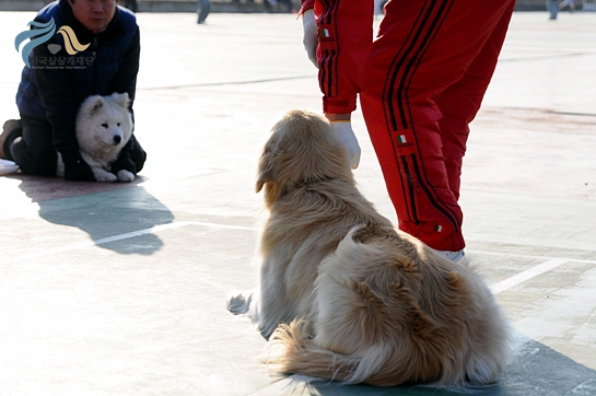 1679372500_zOtP5GpD_DSC_0395.JPG