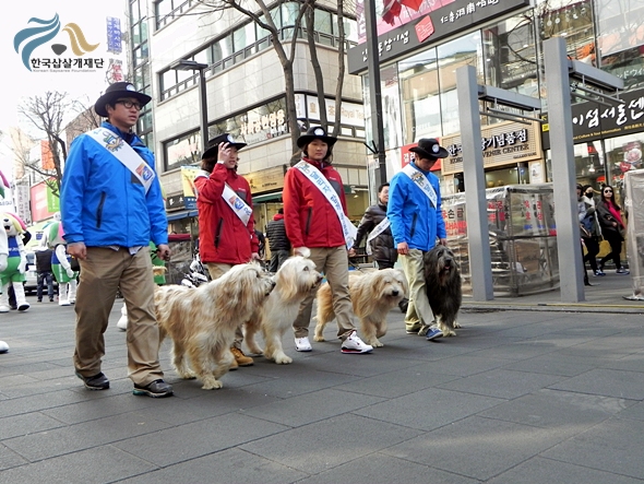 1679372500_zjV9mfyW_DSCN0938.JPG
