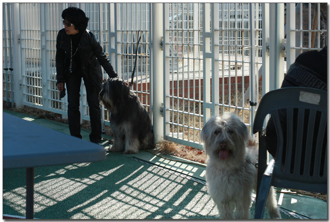 2010385364_2tLCYJW8_027.jpg