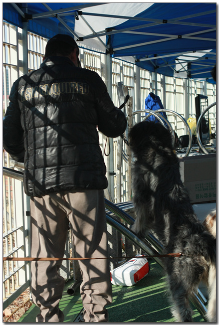 2010385364_4PCxFng8_031.jpg