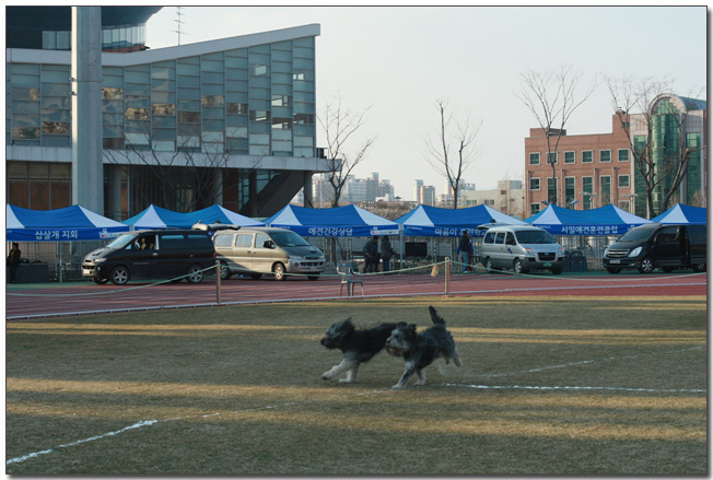 2010385364_5EK6xHIB_090.jpg
