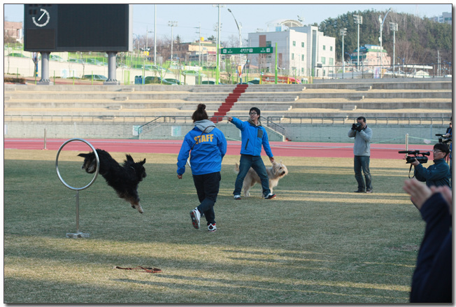 2010385364_8pqLRfT1_077.jpg