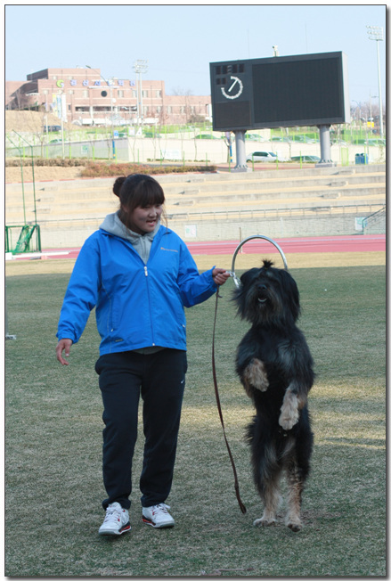 2010385364_G0uA4sQ2_067.jpg