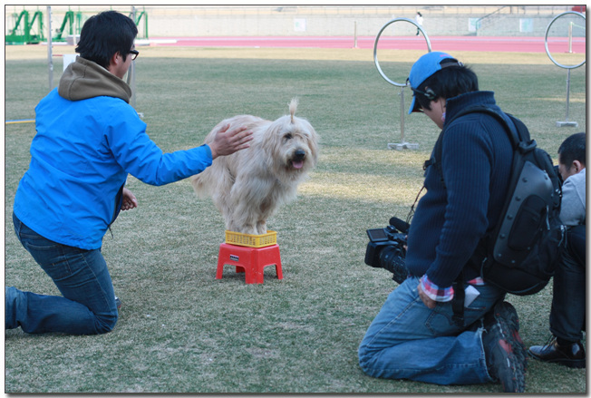 2010385364_TbNqA1xZ_073.jpg