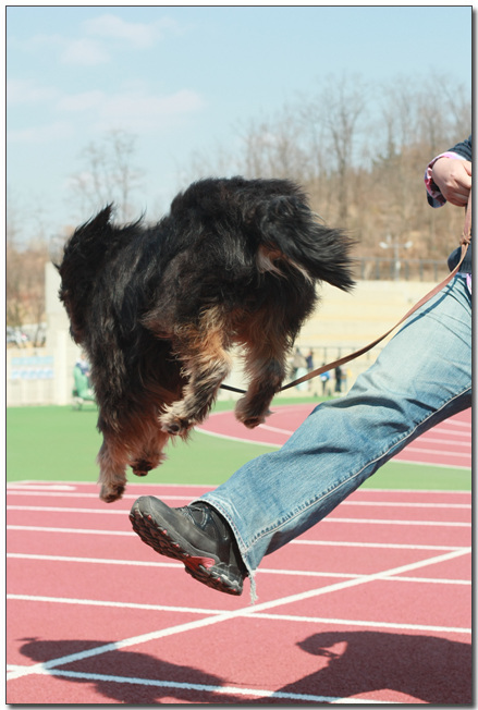 2010385364_dSsvnlTu_011.jpg