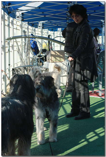 2010385364_o0nODLVN_048.jpg
