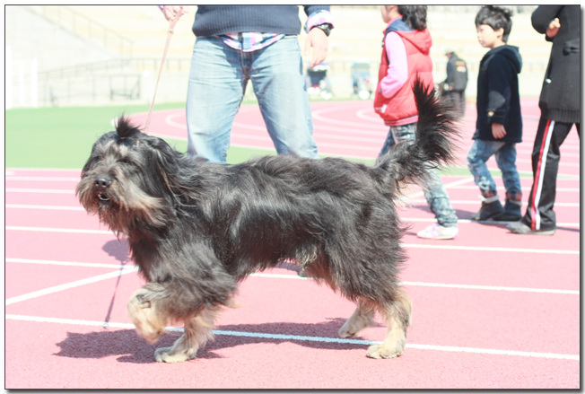 2010385364_tL6dshoF_010.jpg