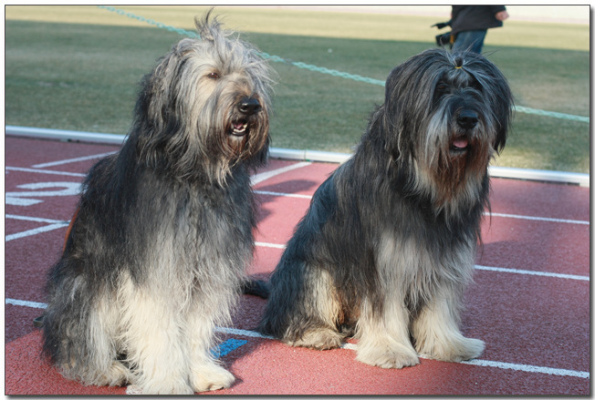 2010385364_thfVQzA7_055.jpg