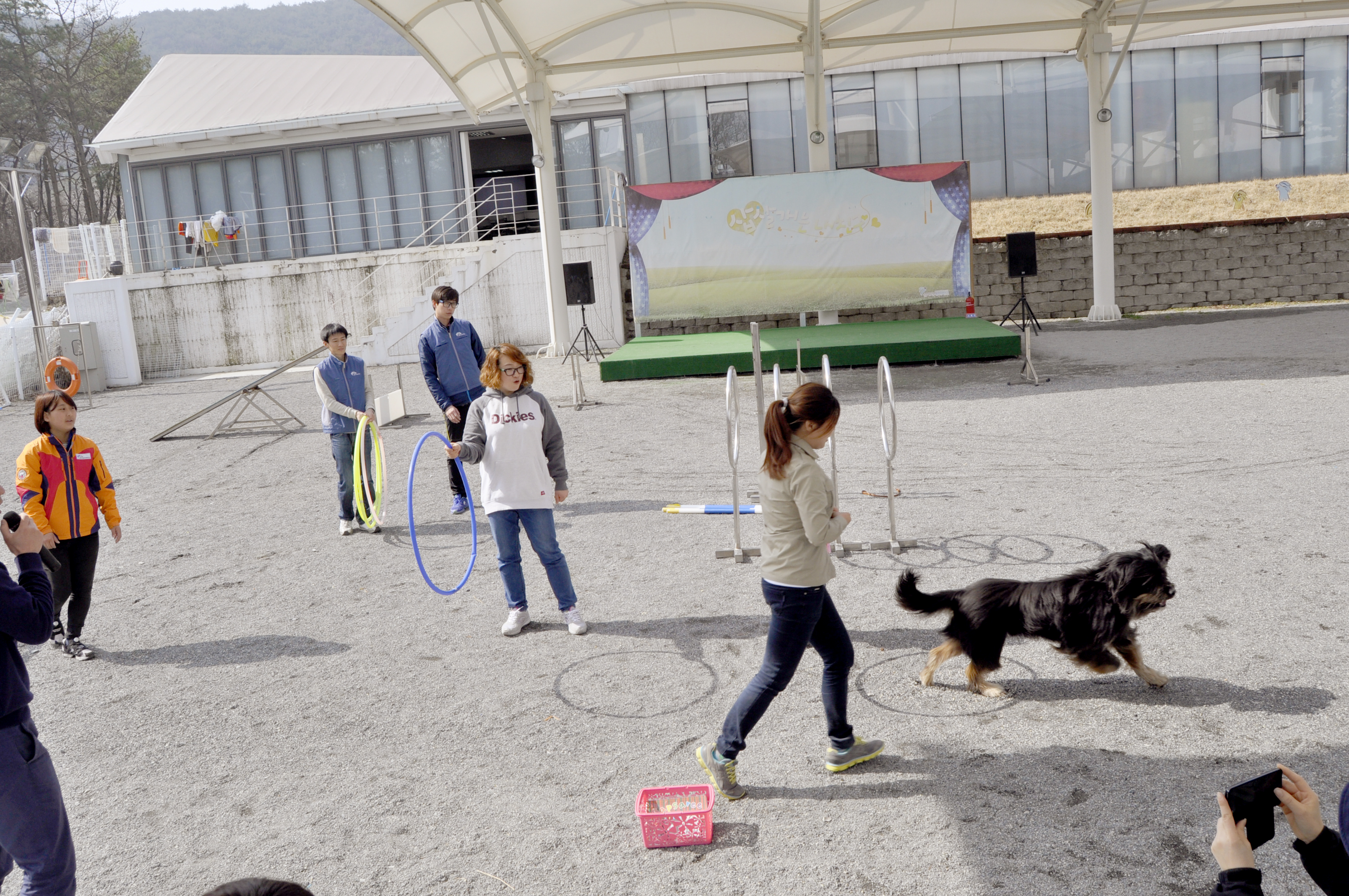 982921947_uZqS9Bs3__DSC8152.JPG